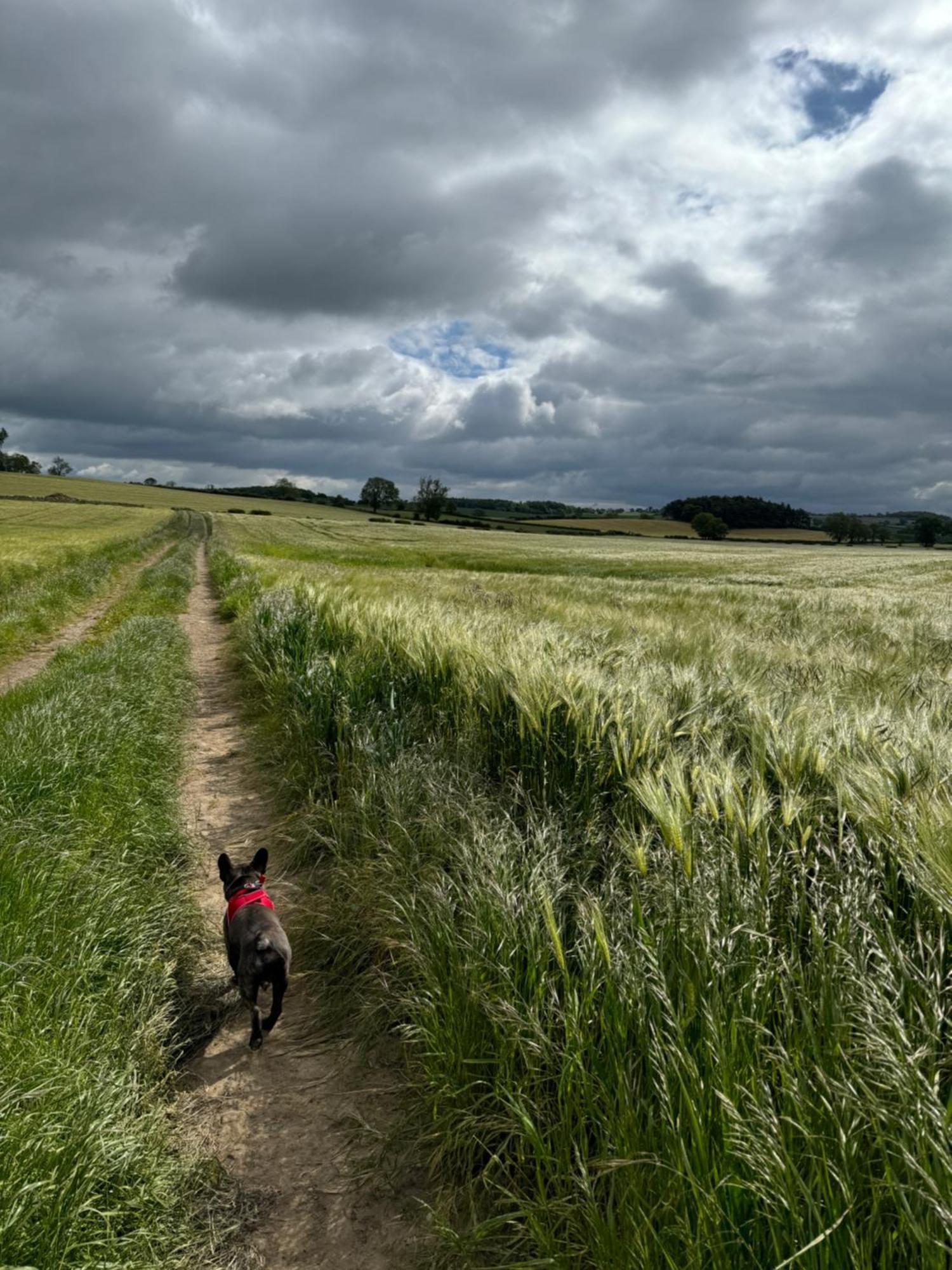 Chestnut Ravensworth Holiday home *